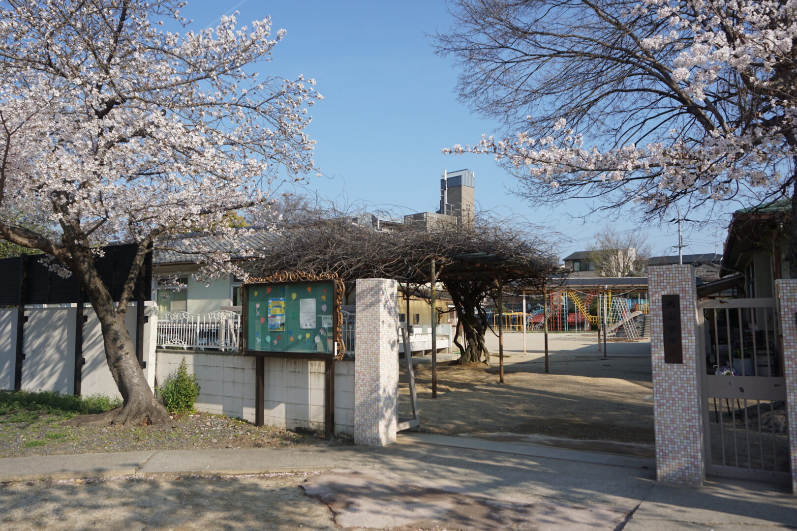 R８年度が始まったよ！ | 西山幼稚園